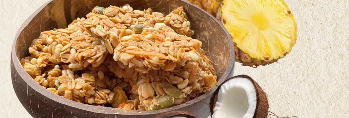 手作燕麥脆片實拍,椰子殼碗盛裝金黃燕麥堅果塊,搭配鳳梨與椰子